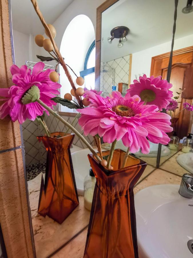 Paradise Villa コラレホ エクステリア 写真